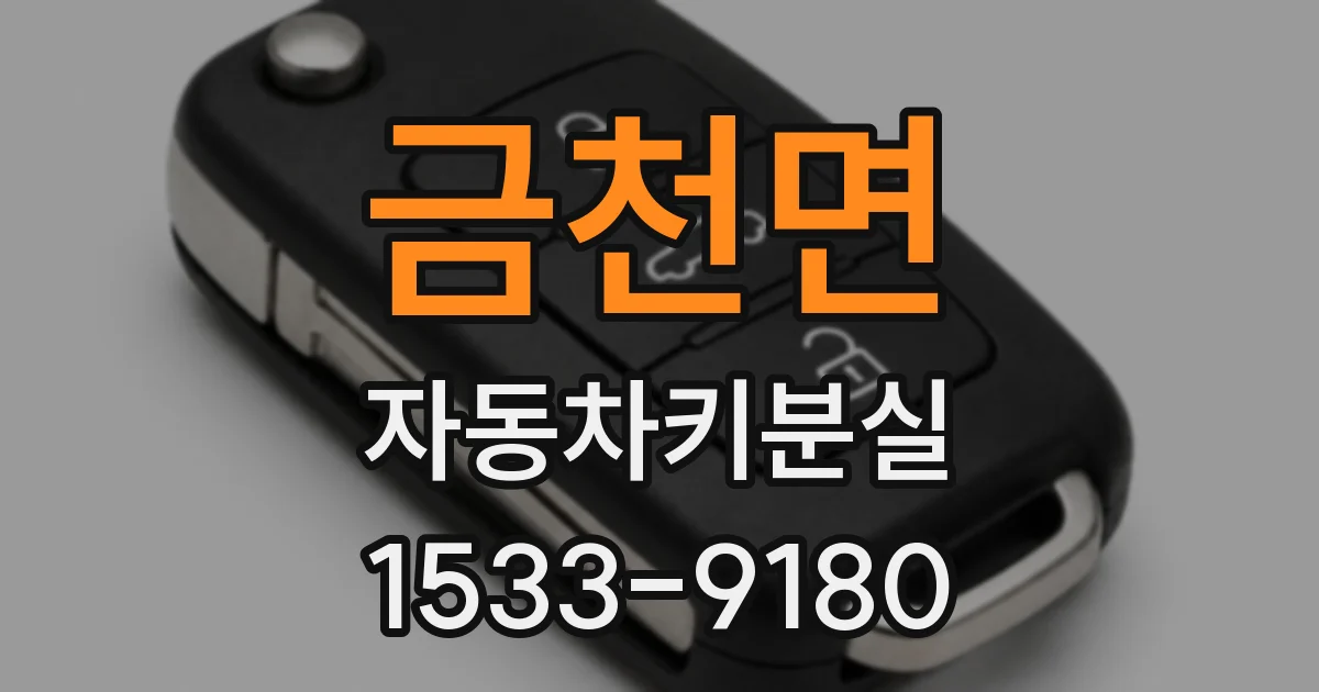 금천면 자동차키분실