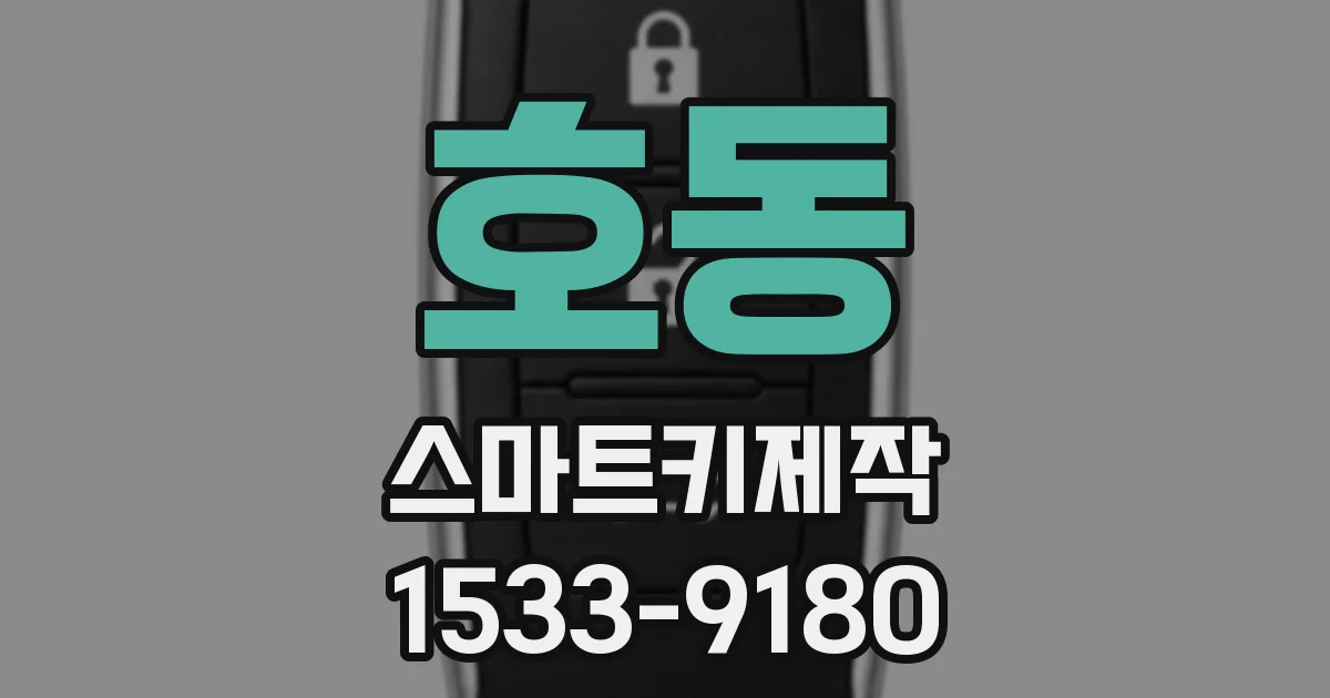 호동 스마트키제작