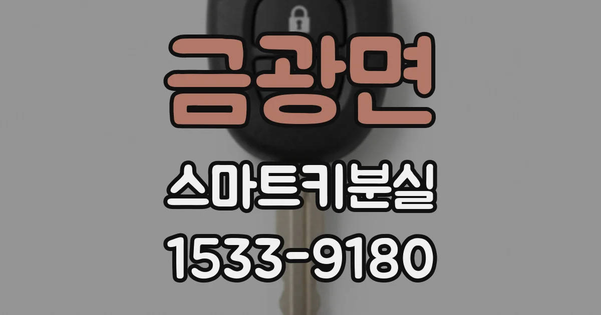 금광면 스마트키분실