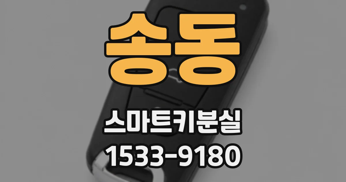 송동 스마트키분실