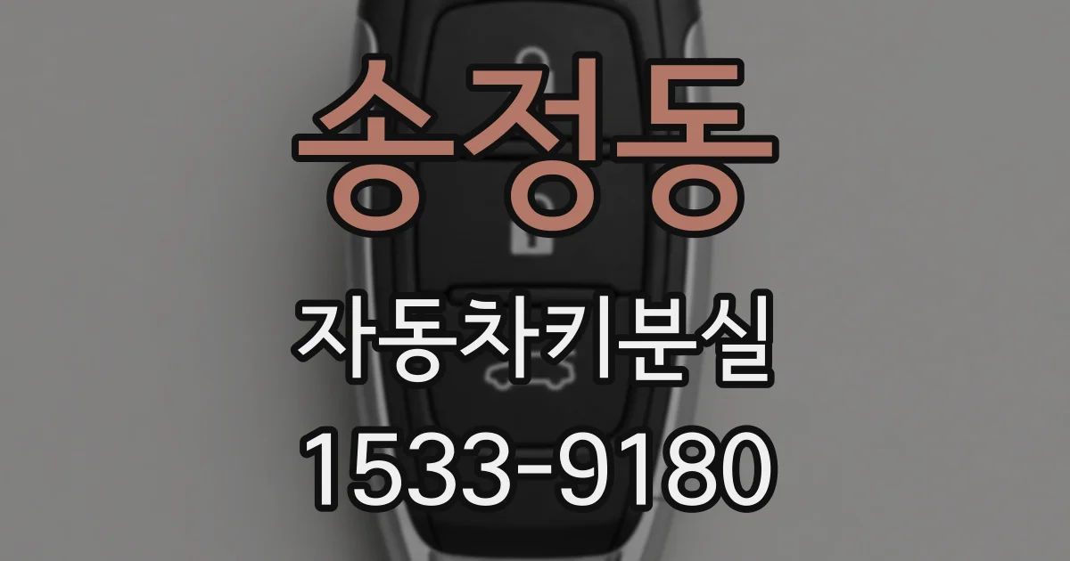송정동 자동차키분실