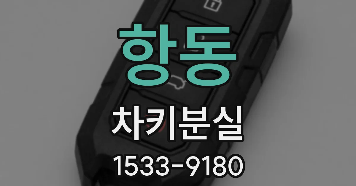항동 차키분실
