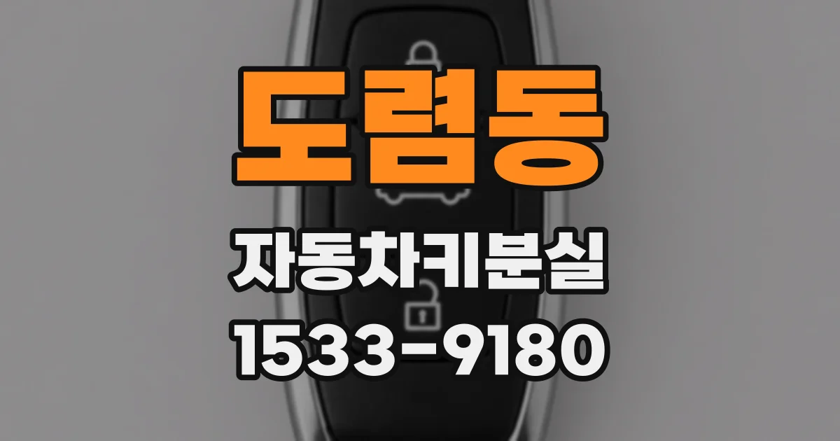 도렴동 자동차키분실