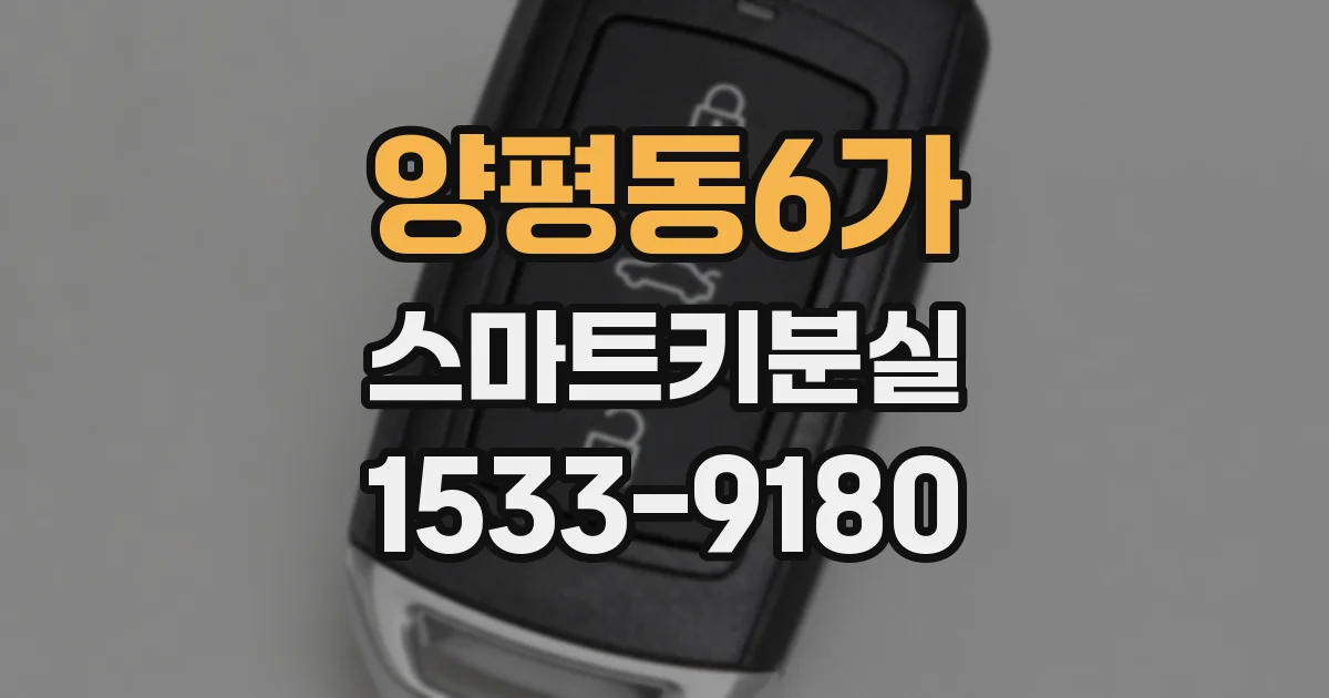 양평동6가 스마트키분실
