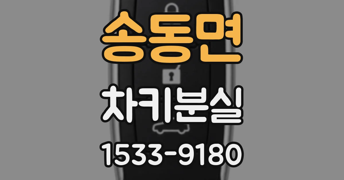 송동면 차키분실