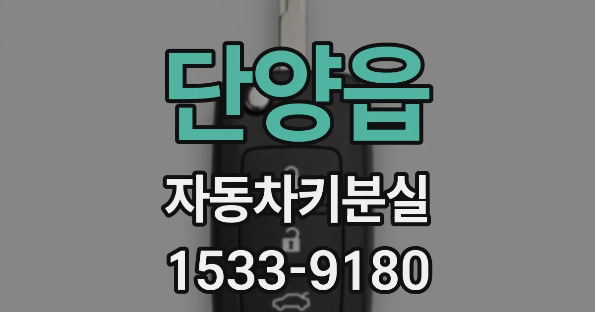 단양읍 자동차키분실