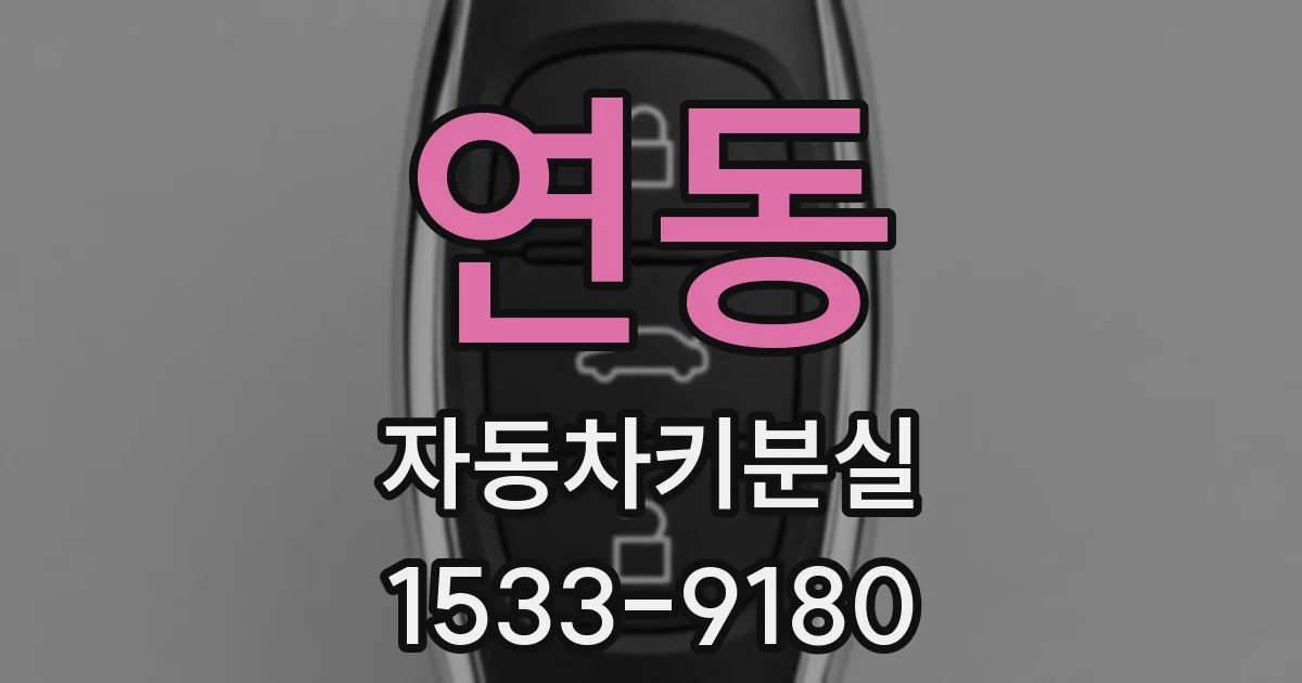 연동 자동차키분실