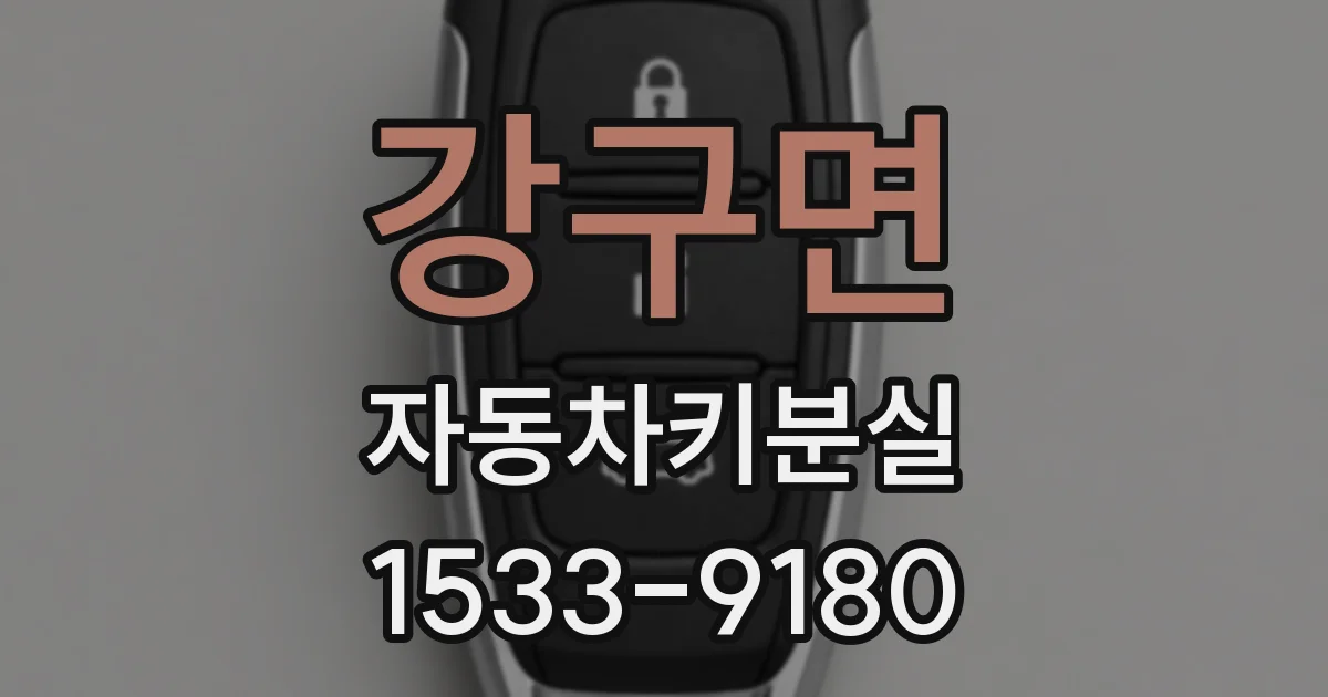 강구면 자동차키분실