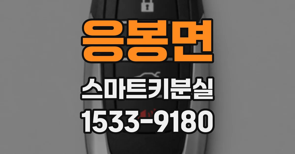 응봉면 스마트키분실
