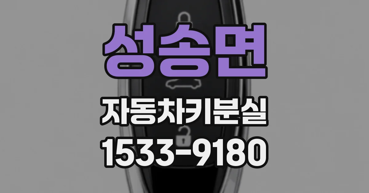 성송면 자동차키분실