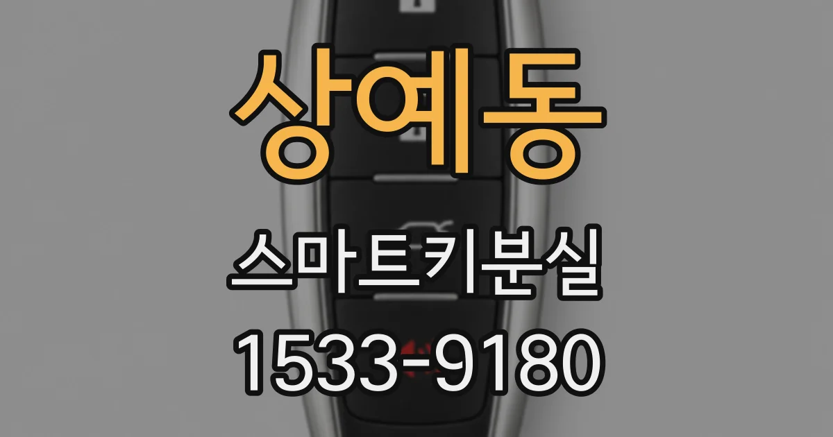 상예동 스마트키분실
