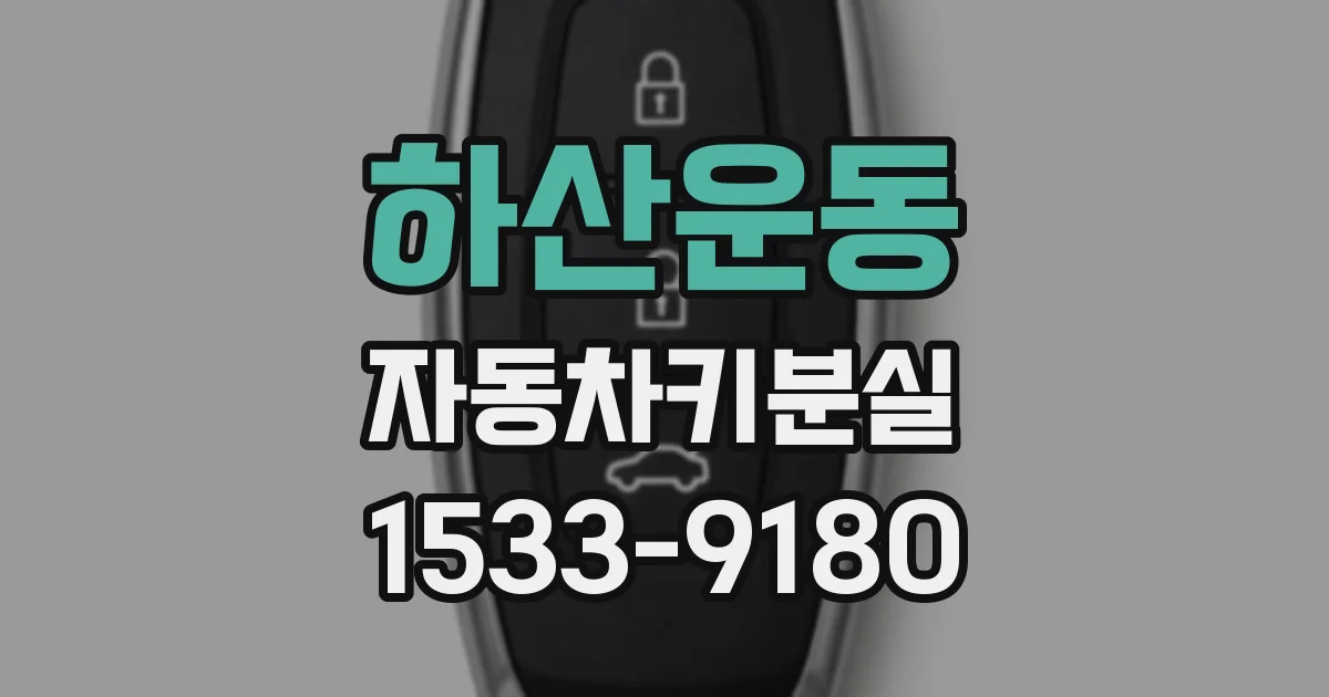 하산운동 자동차키분실