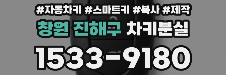 창원 진해구 차키분실