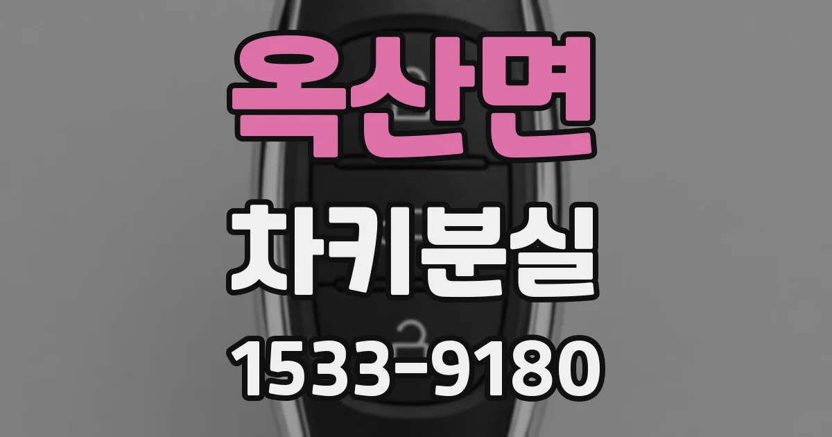 옥산면 차키분실