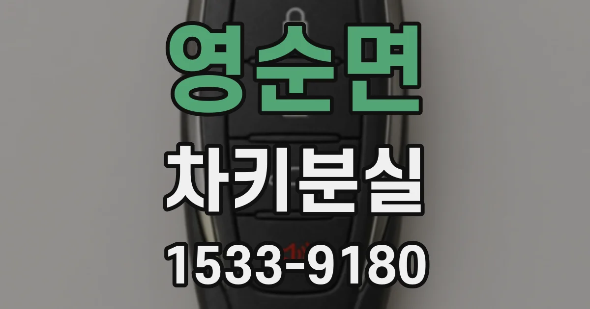 영순면 차키분실