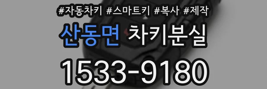 산동면 차키분실