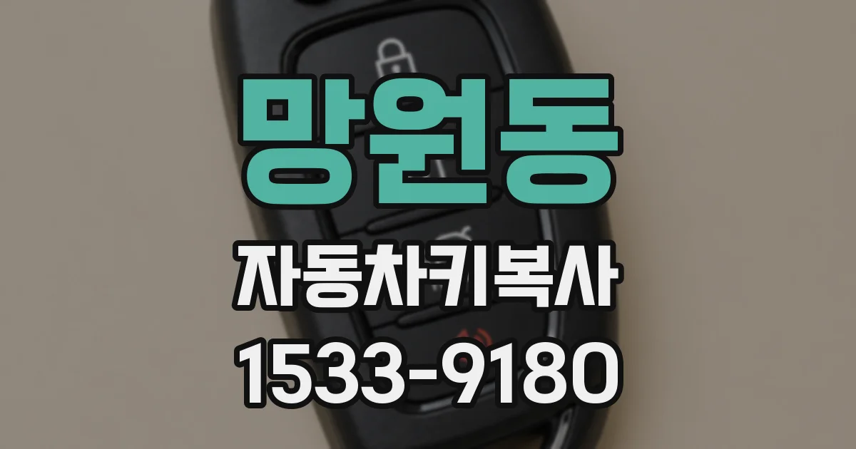 망원동 자동차키복사