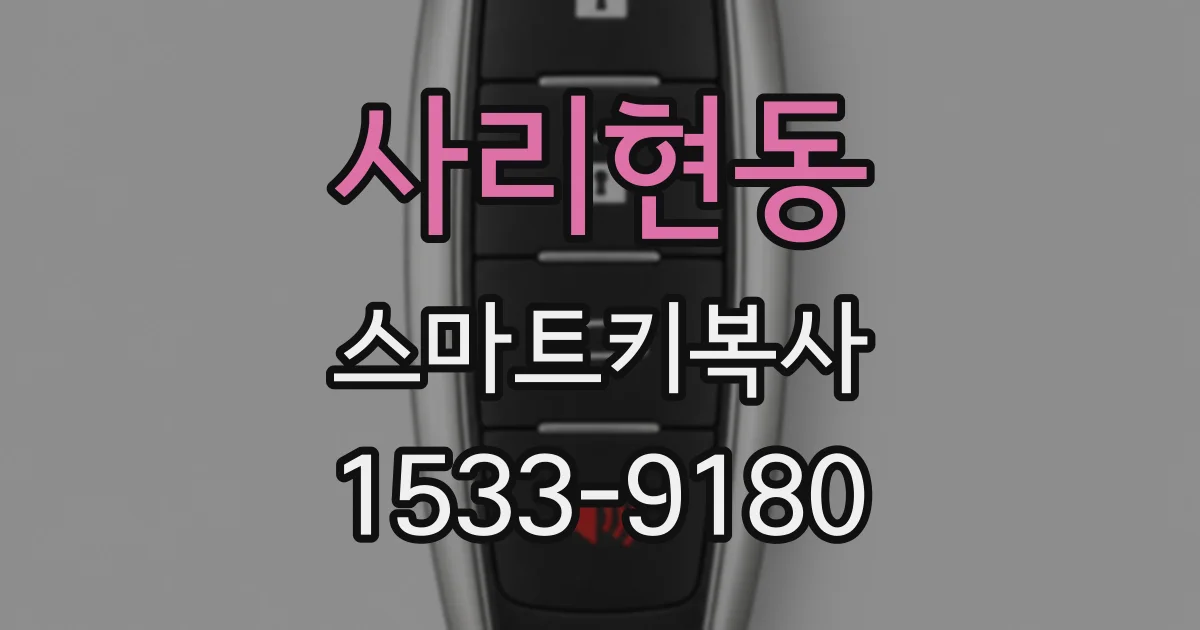 사리현동 스마트키복사