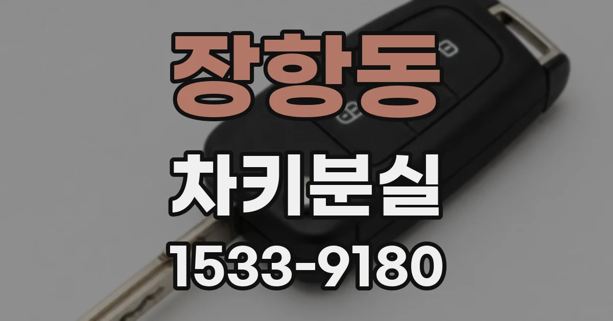 장항동 차키분실