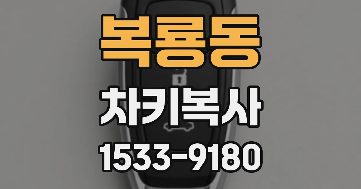복룡동 차키복사