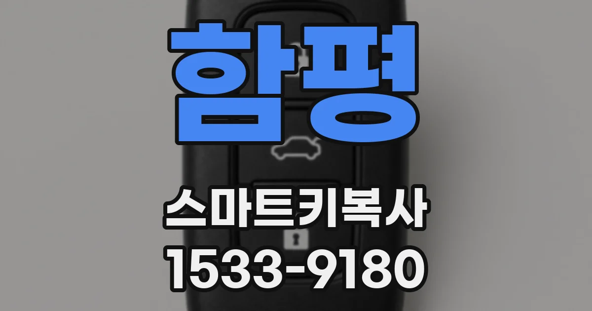 함평 스마트키복사