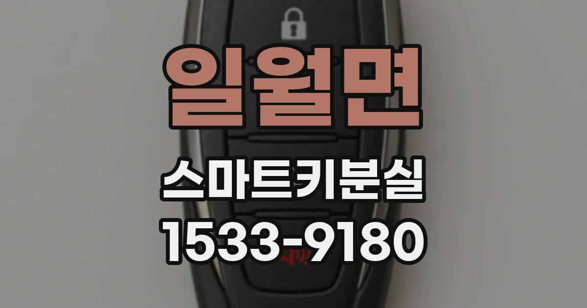 일월면 스마트키분실