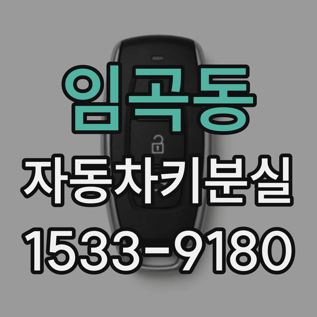 임곡동 자동차키분실
