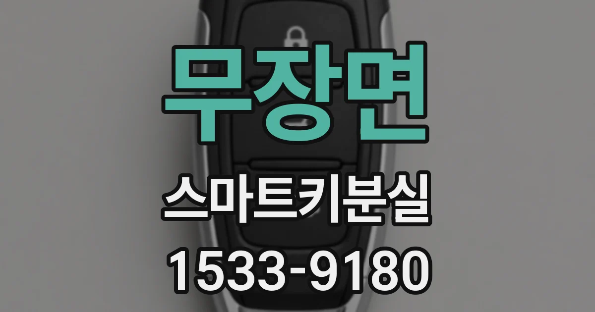 무장면 스마트키분실