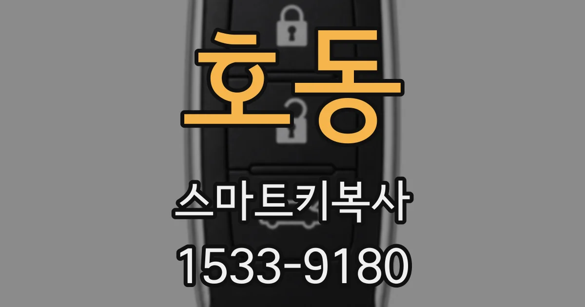 호동 스마트키복사