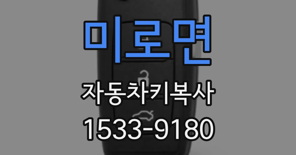 미로면 자동차키복사