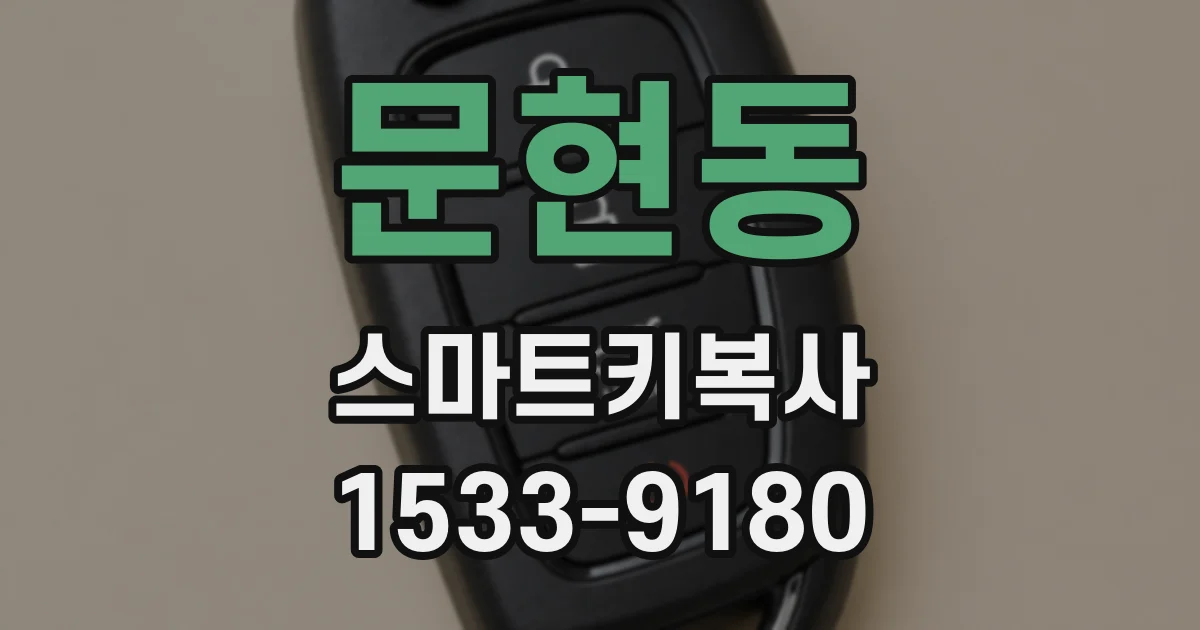 문현동 스마트키복사