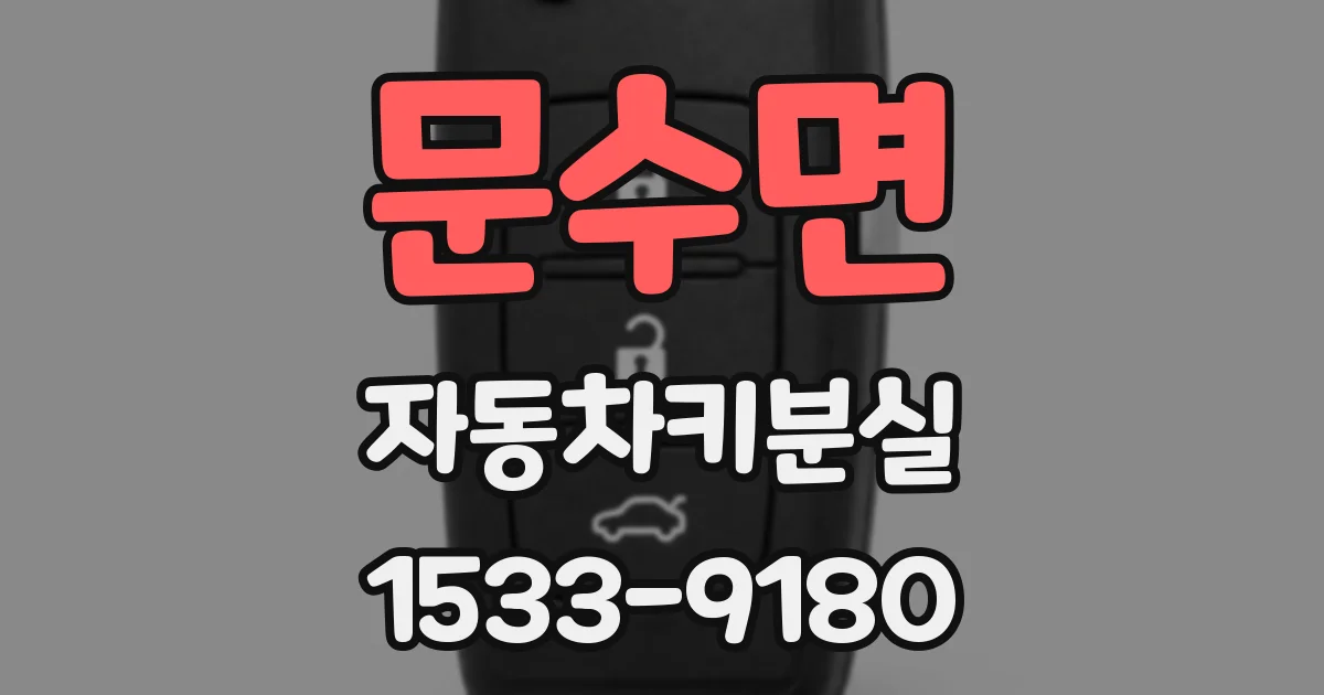 문수면 자동차키분실