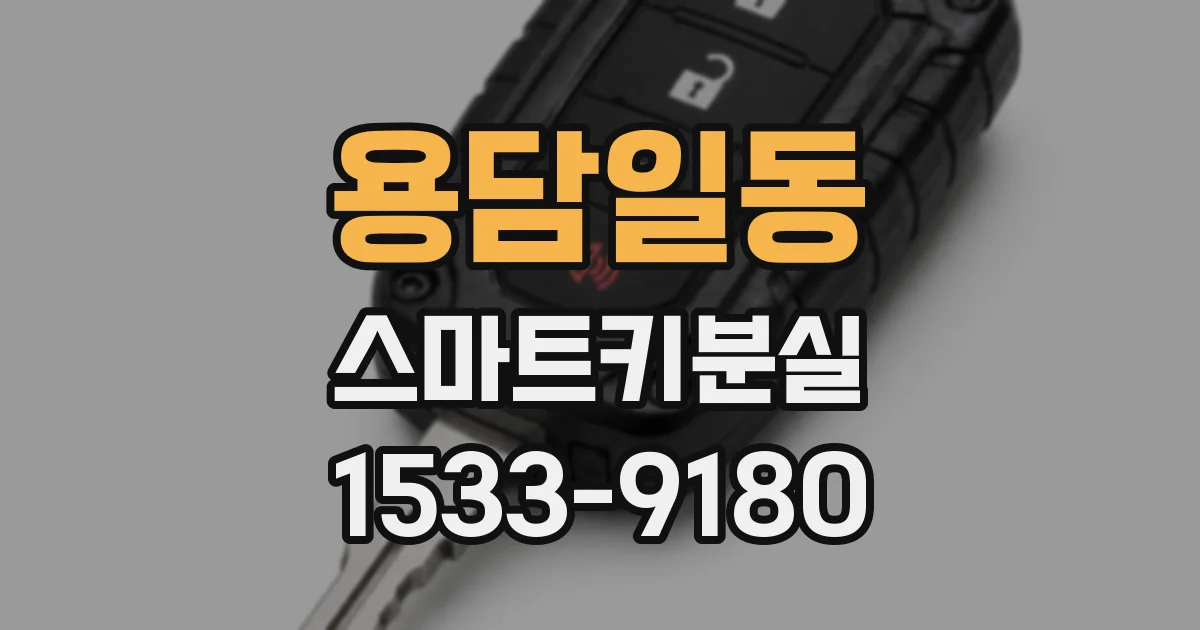 용담일동 스마트키분실
