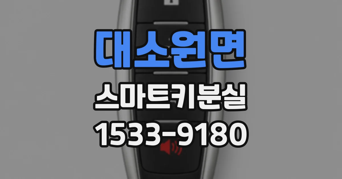 대소원면 스마트키분실