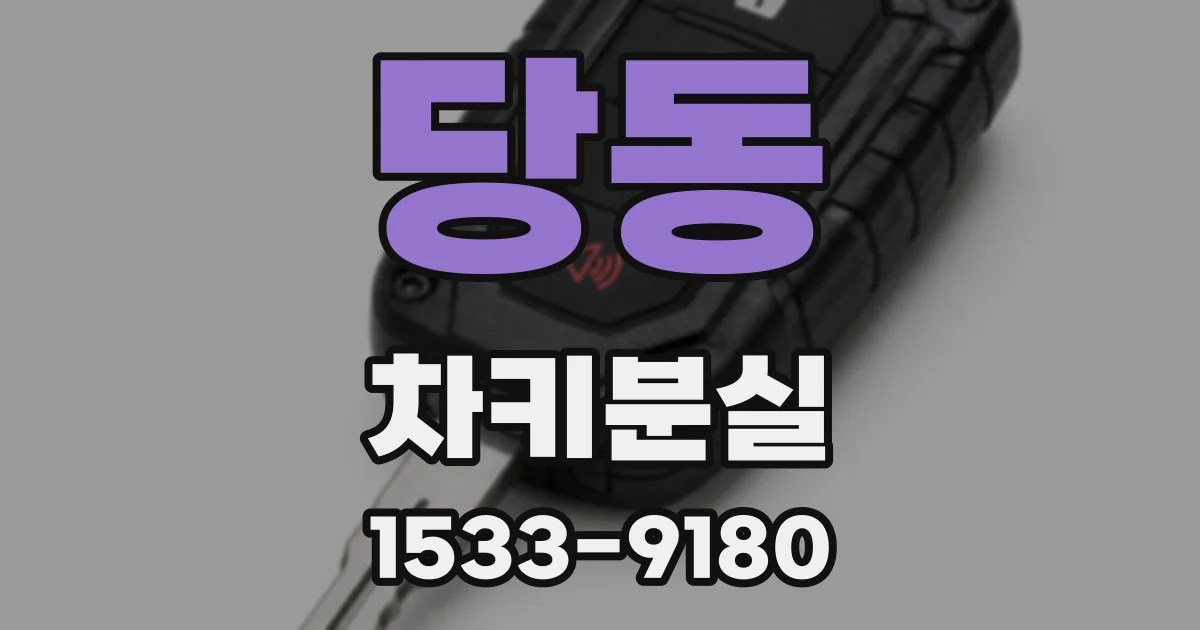 당동 차키분실