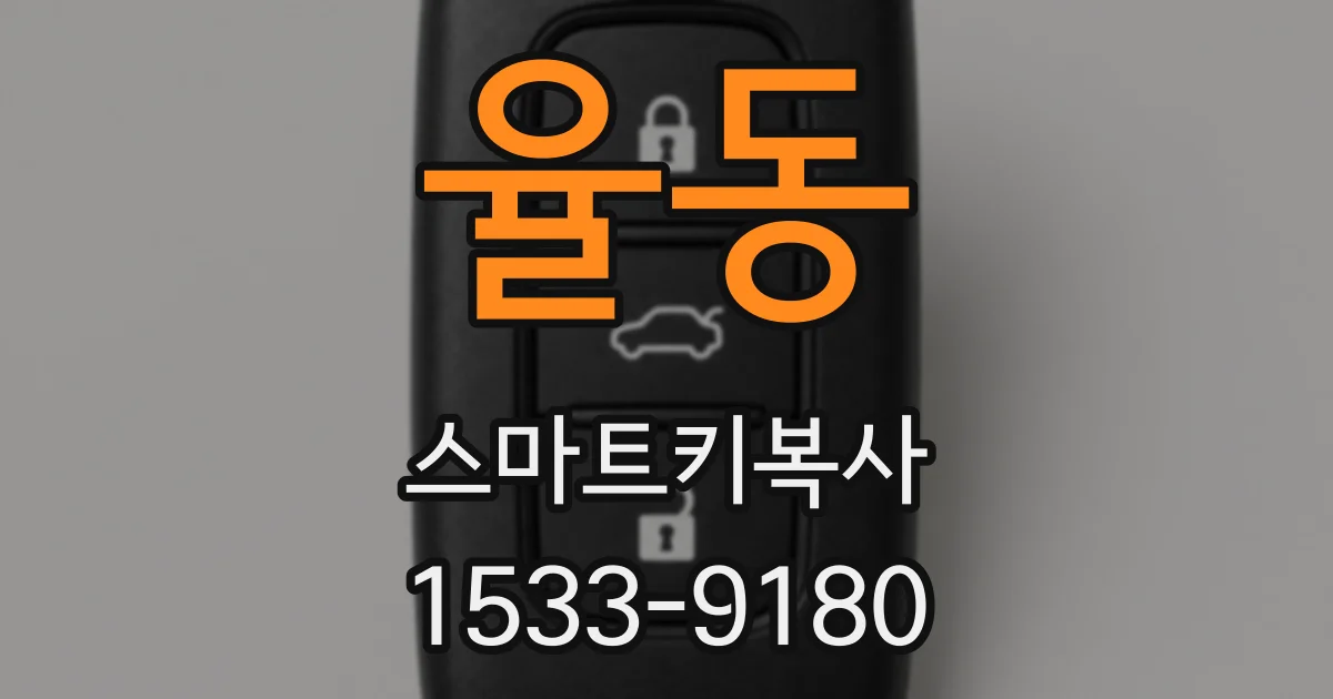 율동 스마트키복사