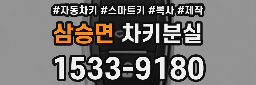 삼승면 차키분실