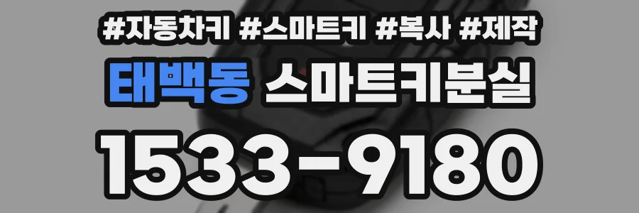 태백동 스마트키분실