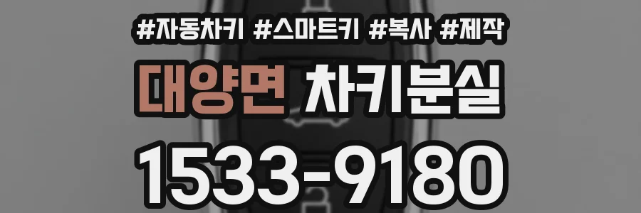 대양면 차키분실