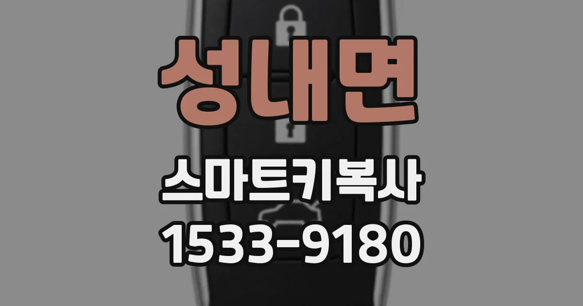 성내면 스마트키복사