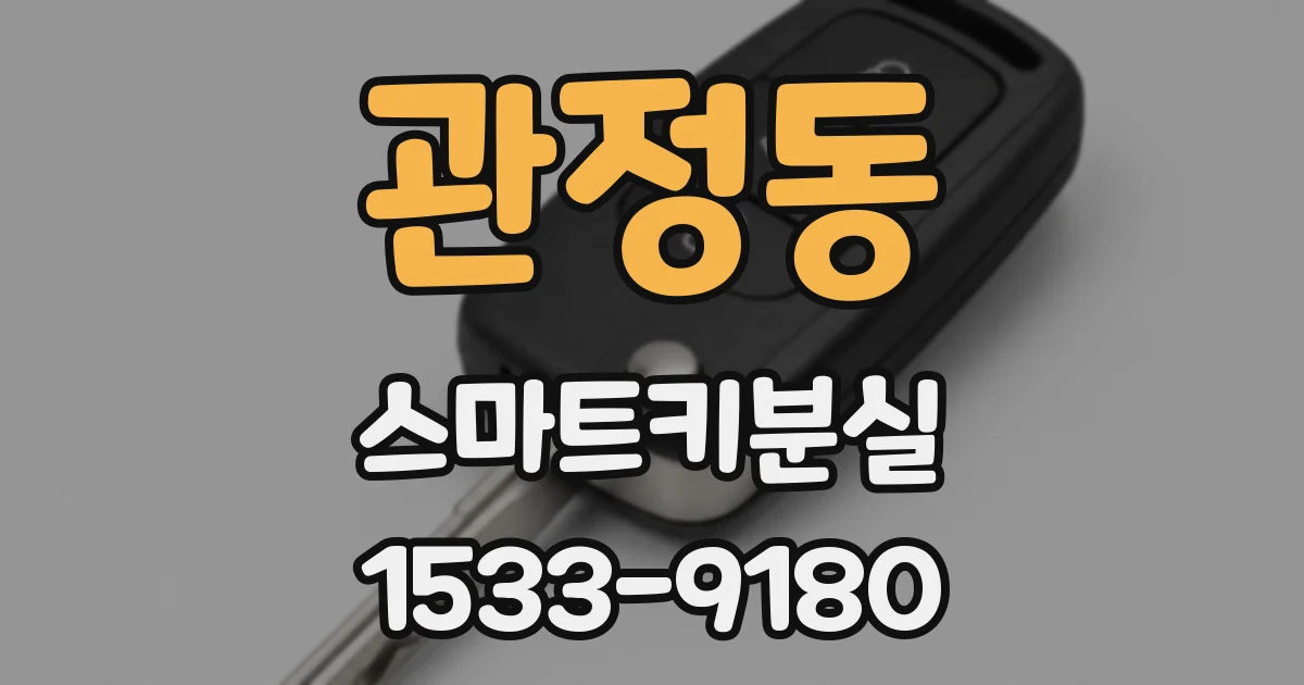 관정동 스마트키분실