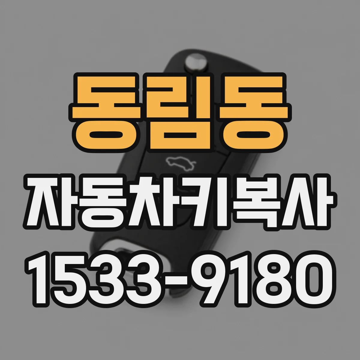동림동 자동차키복사