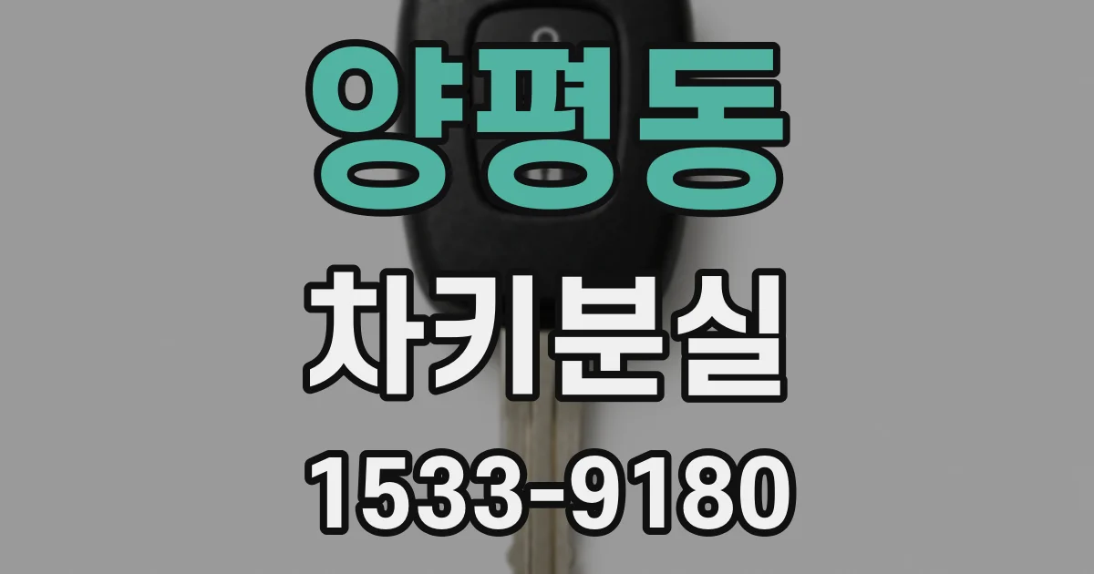 양평동 차키분실