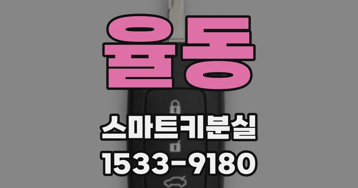 율동 스마트키분실