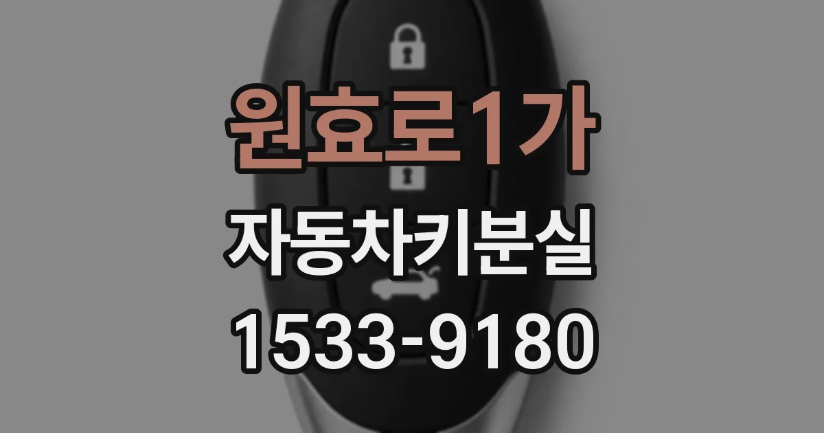 원효로1가 자동차키분실
