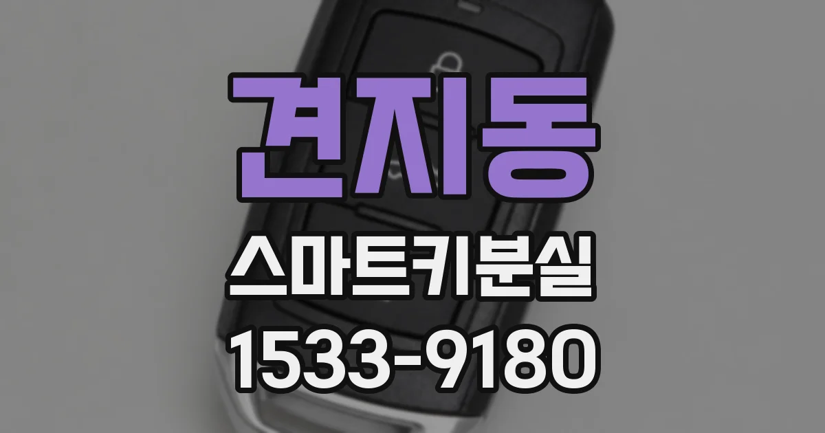 견지동 스마트키분실