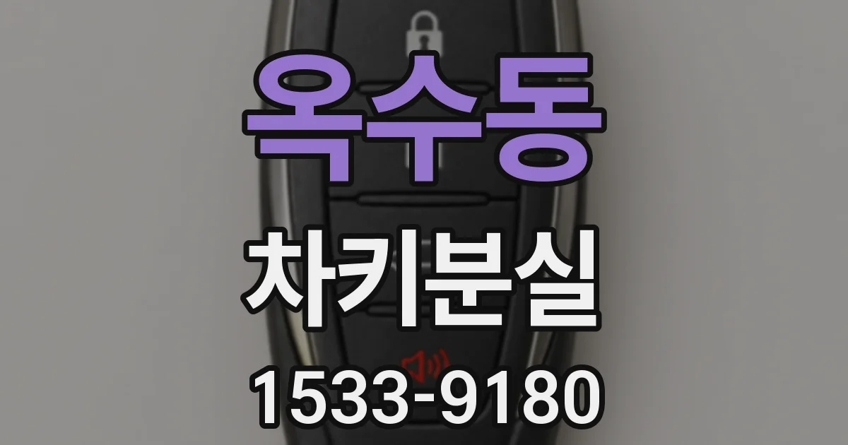 옥수동 차키분실