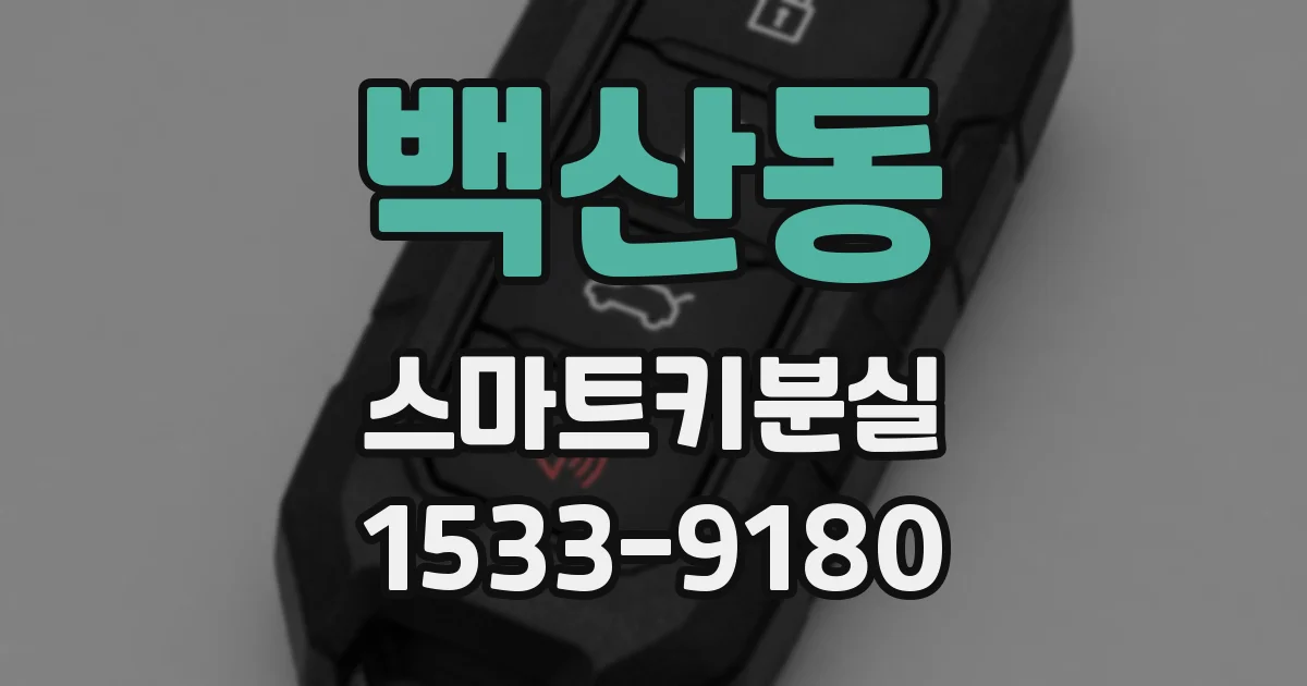 백산동 스마트키분실