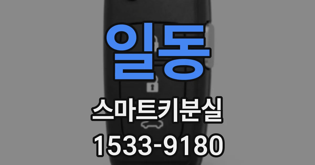 일동 스마트키분실