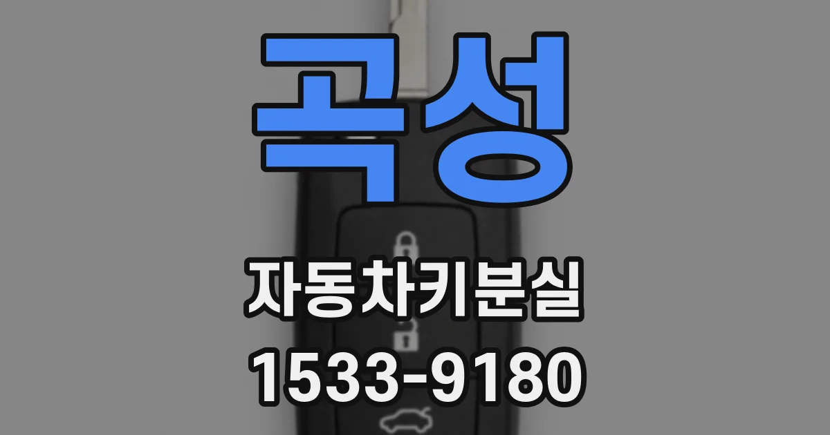 곡성 자동차키분실